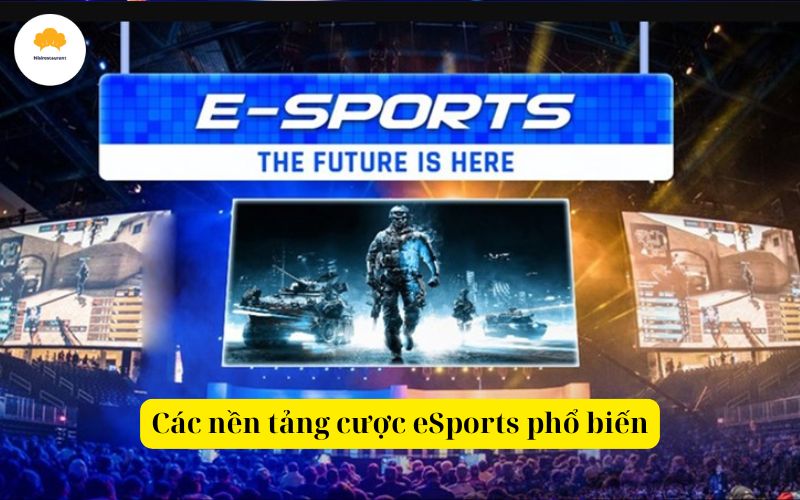 Các nền tảng cược eSports phổ biến