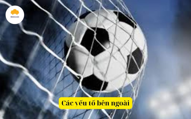 Các yếu tố bên ngoài