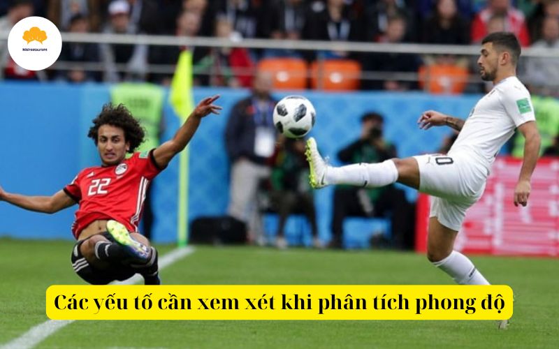 Các yếu tố cần xem xét khi phân tích phong độ