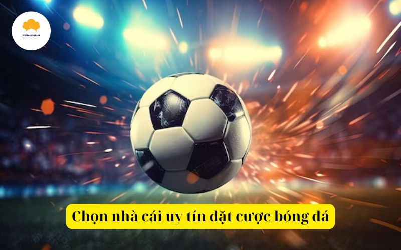 Chọn nhà cái uy tín đặt cược bóng đá