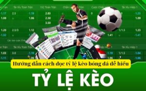 Hướng dẫn cách đọc tỷ lệ kèo bóng đá