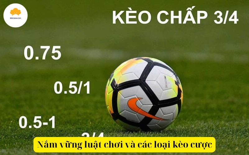 Nắm vững luật chơi và các loại kèo cược