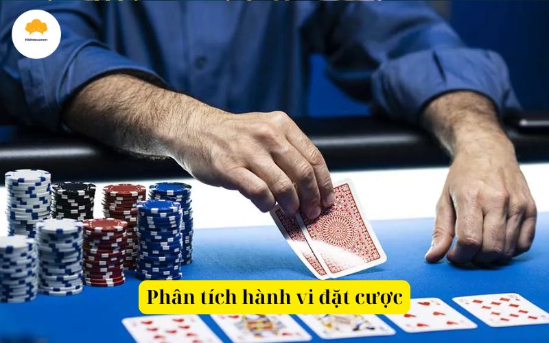 Phân tích hành vi đặt cược