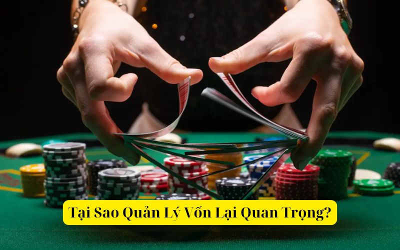 Tại Sao Quản Lý Vốn Lại Quan Trọng khi chơi poker