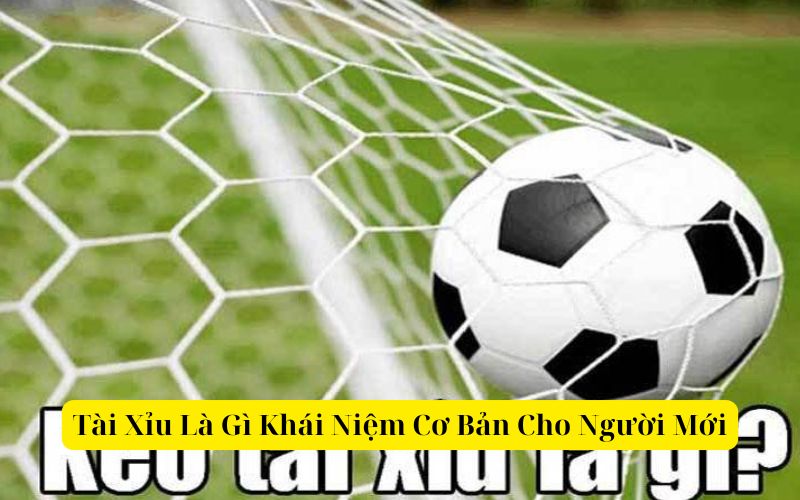 Tài Xỉu Là Gì Khái Niệm Cơ Bản