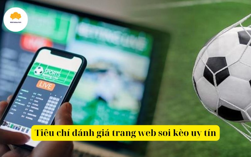 Tiêu chí đánh giá trang web soi kèo uy tín