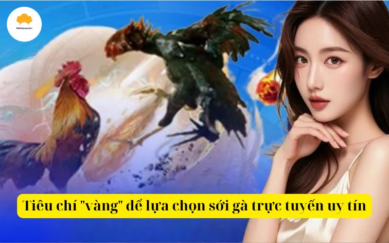 Tiêu chí vàng để lựa chọn sới gà trực tuyến uy tín