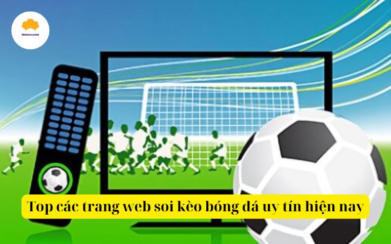 Top các trang web soi kèo bóng đá uy tín hiện nay