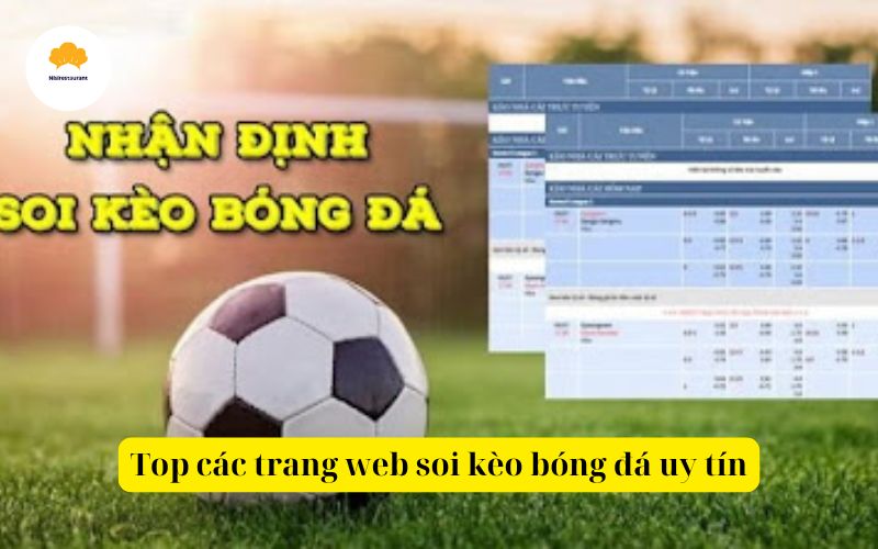 Top các trang web soi kèo bóng đá uy tín