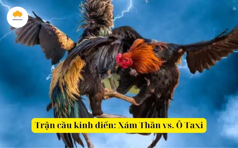 Trận cầu kinh điển Xám Thần vs. Ô Taxi