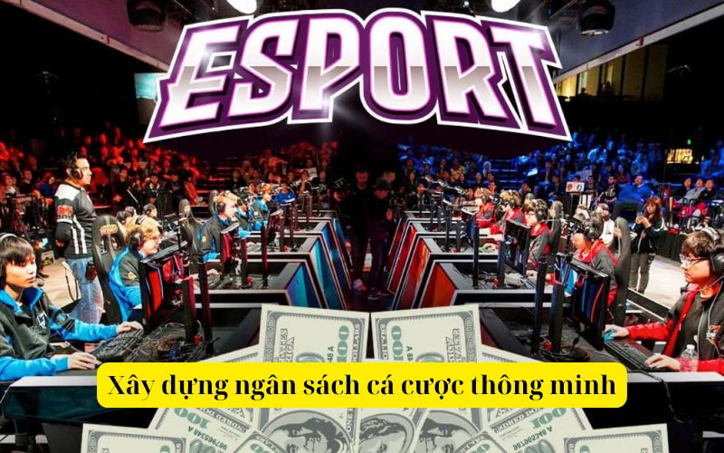 Xây dựng ngân sách cá cược thông minh