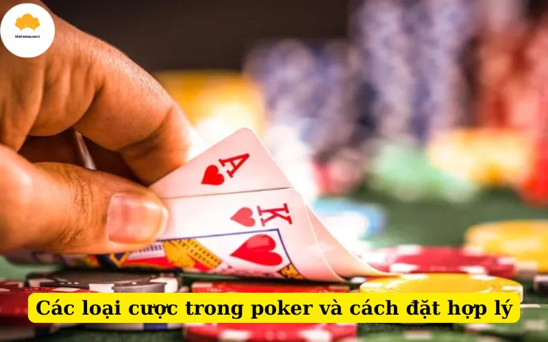 Các loại cược trong poker và cách đặt hợp lý