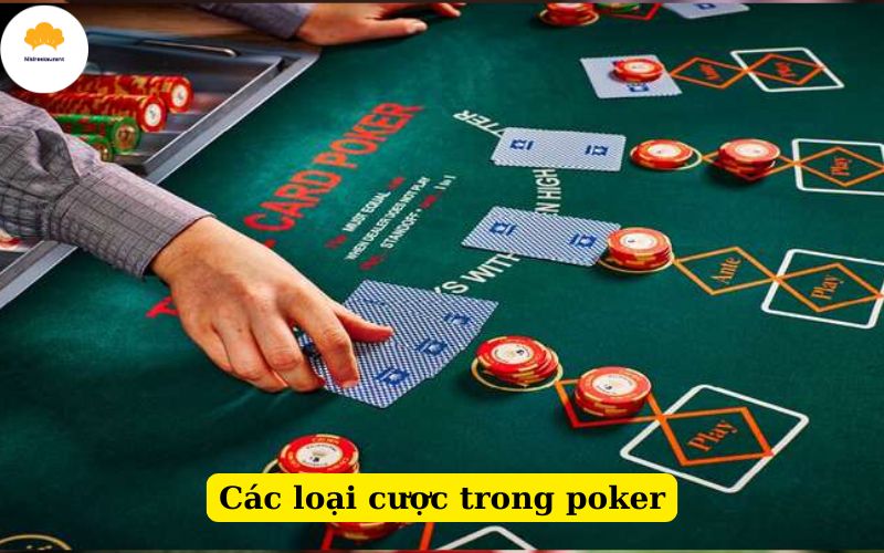 Các loại cược trong poker