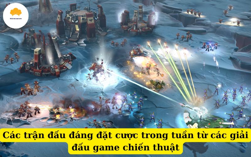 Các trận đấu đáng đặt cược trong tuần từ các giải đấu game chiến thuật