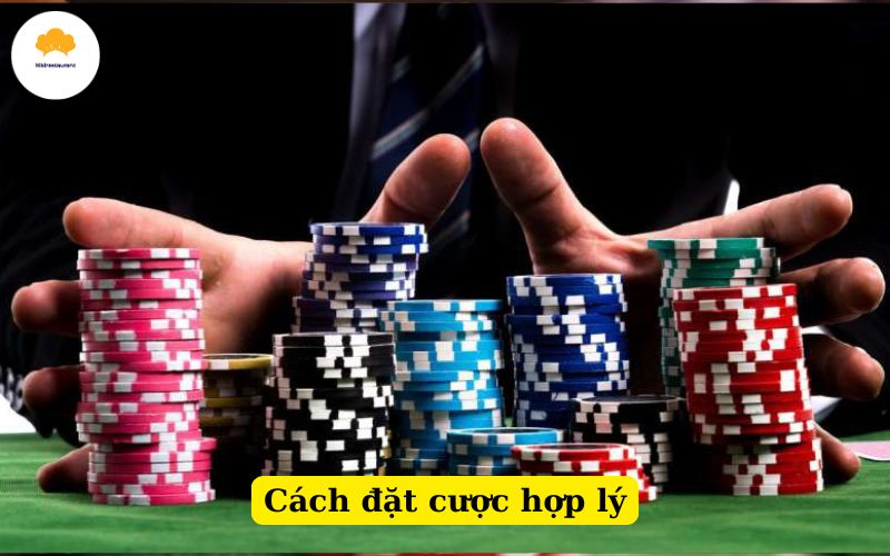 Cách đặt cược hợp lý