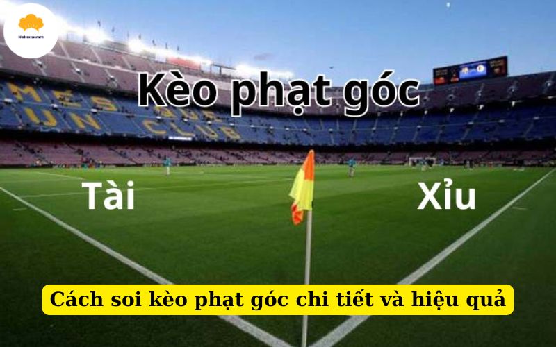 Cách soi kèo phạt góc chi tiết và hiệu quả