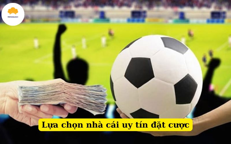 Lựa chọn nhà cái uy tín đặt cược