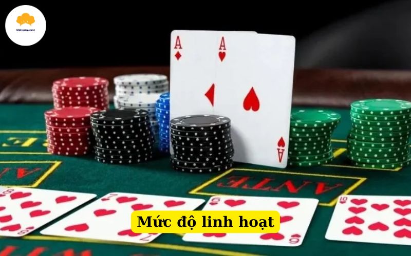 Mức độ linh hoạt