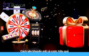 Người chơi cá cược chuyên nghiệp