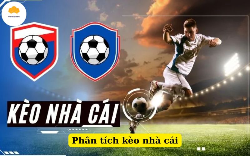 Phân tích kèo nhà cái