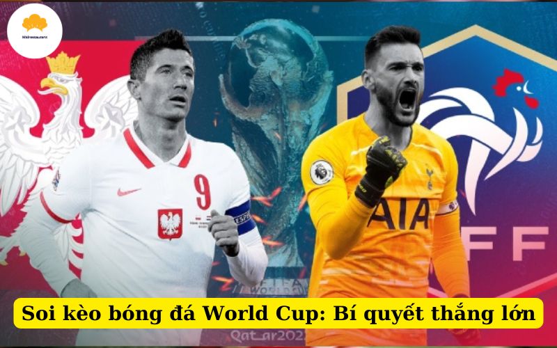 Soi kèo bóng đá World Cup Bí quyết thắng lớn