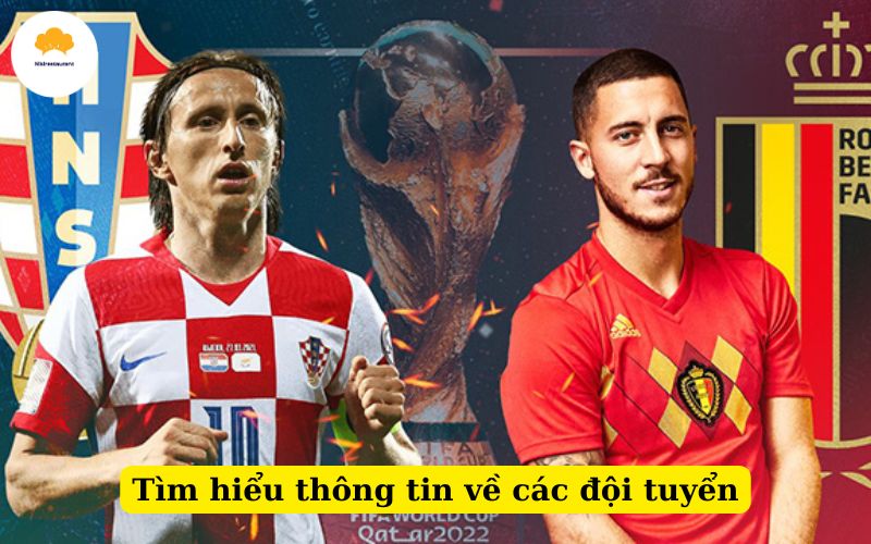 Tìm hiểu thông tin về các đội tuyển