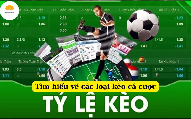 Tìm hiểu về các loại kèo cá cược
