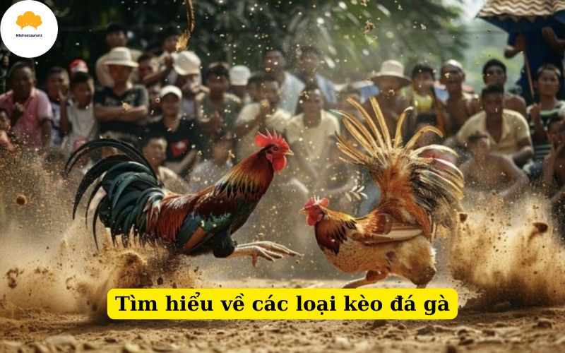 Tìm hiểu về các loại kèo đá gà