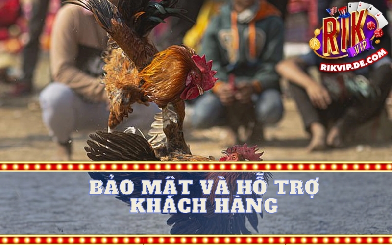 Bảo Mật Và Hỗ Trợ Khách Hàng