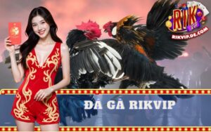 Đá Gà Rikvip