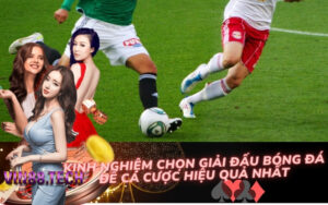 Kinh Nghiệm Chọn Giải Đấu Bóng Đá Để Cá Cược Hiệu Quả Nhất