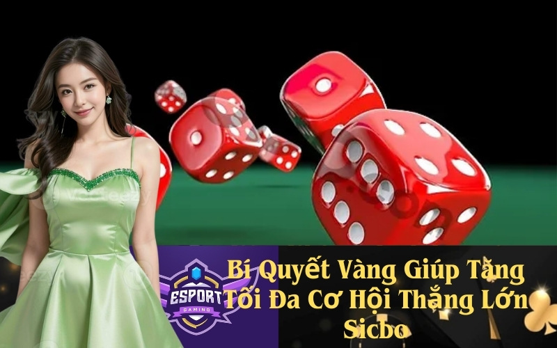 Bí Quyết Vàng Giúp Tăng Tối Đa Cơ Hội Thắng Lớn Sicbo