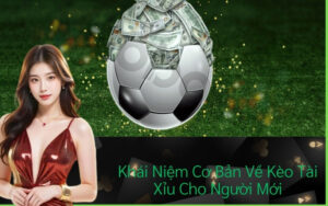 Khái Niệm Cơ Bản Về Kèo Tài Xỉu Cho Người Mới