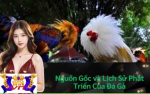 Nguồn Gốc và Lịch Sử Phát Triển Của Đá Gà