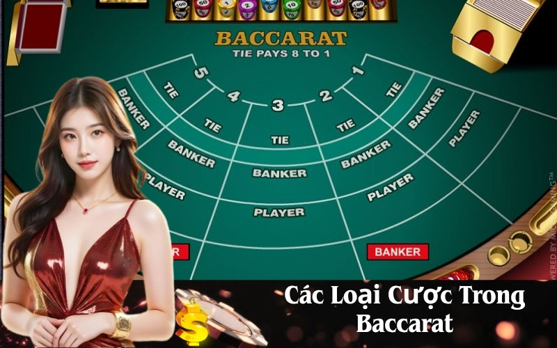 Các Loại Cược Trong Baccarat