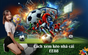 Cách xem kèo nhà cái EE88