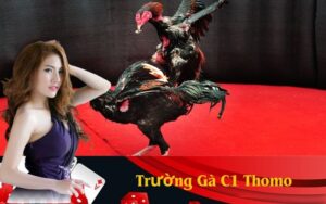 Trường Gà C1 Thomo